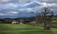/album/paesaggi-toscani/tuscany-nr1b-jpg/